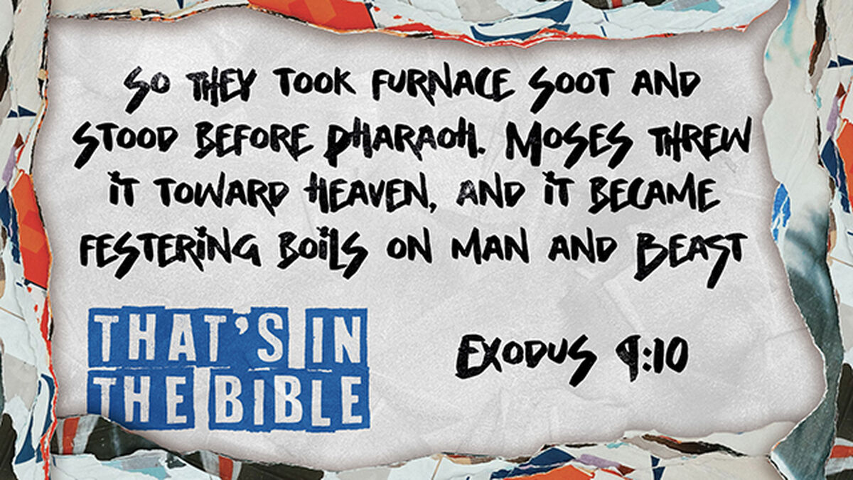 That's in the Bible!? Volume 5 image number null
